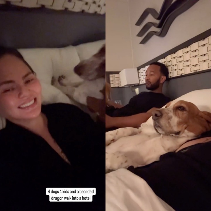 John Legend and wife Chrissy Teigen take refuge from LA wildfires in a hotel with their four kids, four dogs and pet bearded dragon