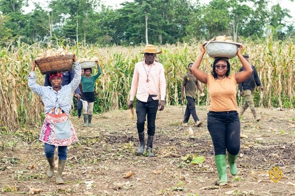 Ministry of Food and Agriculture urged to lead formation of farmer cooperatives
