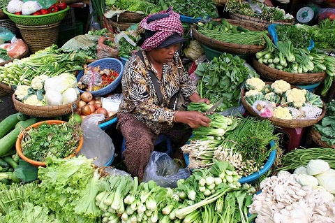 Vegetable, fruit sellers welcome Ofosu-Agyare’s nomination, urge re-opening of Tanoboase tollbooth