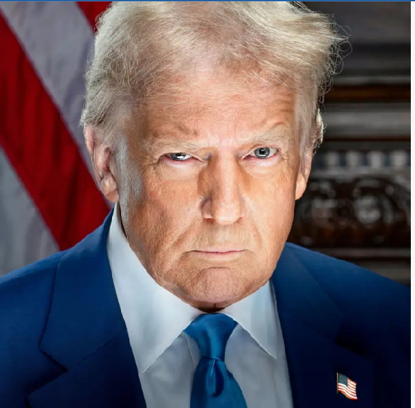 ‘Dem dey go hard’ – Trump and Vance release dia official photo