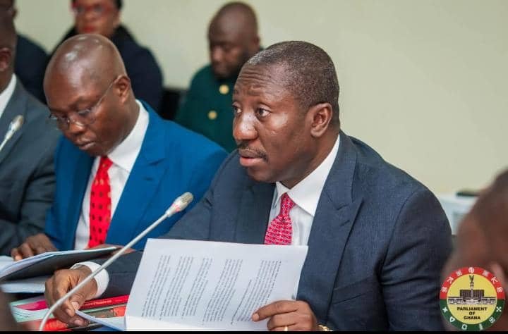 Afenyo-Markin is deliberately overshadowing vetting committee chair — Shamima Muslim