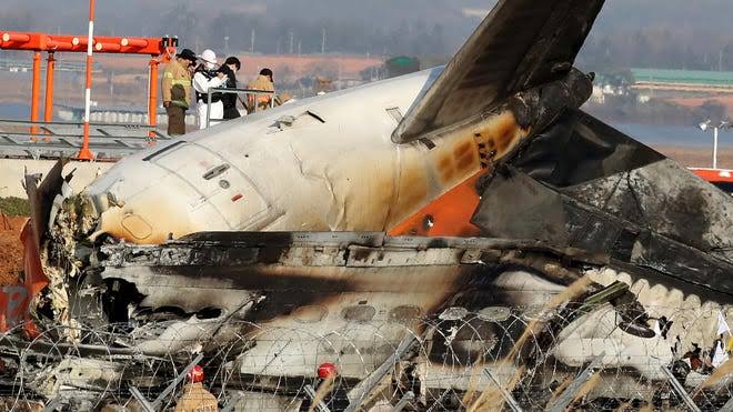 Bird DNA found on South Korean plane that crashed