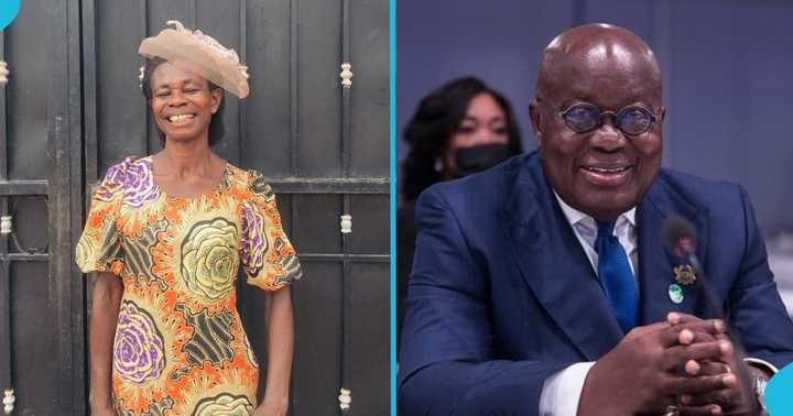 Woman Presents a Crate of Eggs to Akufo-Addo, Appreciates Him for Introducing Free SHS