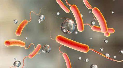 Winneba records 29 confirmed cases of cholera