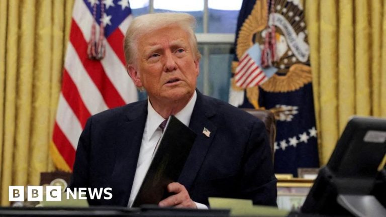Judge blocks Trump’s plan to end US birthright citizenship