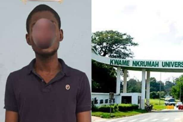 Boyfriend who allegedly killed Joana remanded