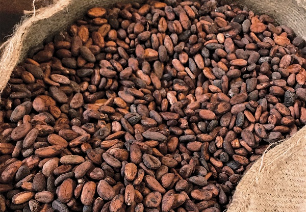 Fair cocoa pricing can stop illegal farm sales – John Dumelo