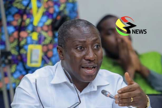Mahama’s reassignment of acting CEOs sending wrong signals to investor community – Afenyo-Markin