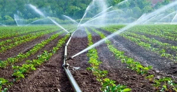 Government announces roll out of ‘Irrigation for Wealth Creation’ project