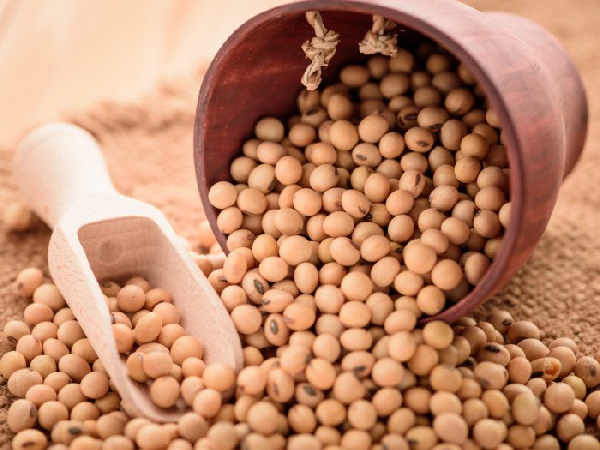 Soybean farmers urge government to lift export ban