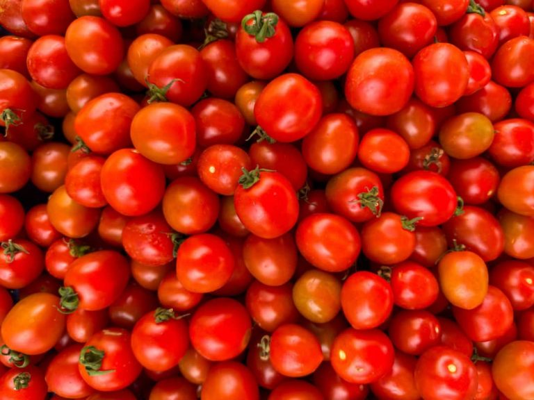 Agric Ministry pledges to tackle tomato shortages, cut imports
