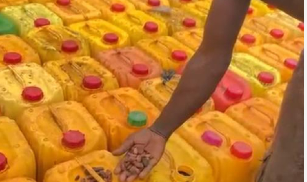 COCOBOD, GRA foil cocoa smuggling attempt at Togo border