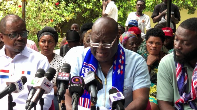NPP blames Adwoa Safo for party’s 2024 parliamentary defeat