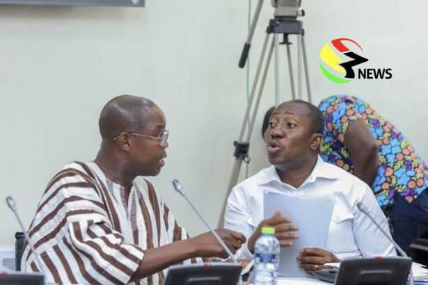 Srem-Sai’s vetting ends unexpectedly after Afenyo-Markin’s refused to withdraw ‘capriciuous’ comment against Ahiafor