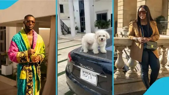 Damien, Jackie Appiah’s son, displays an adorable dog and a luxury Maserati.
