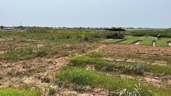 Address land renewal issues – GDLA to government