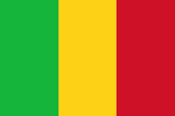 Mali to investigate claims soldiers ‘executed’ women and children