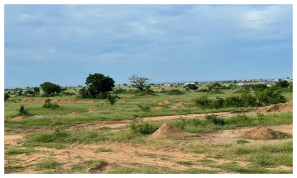 9 steps to buying litigation free land in Ghana