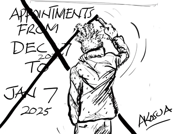 APPOINTMENTS FROM DEC 7 2024 TO JAN 7 2025