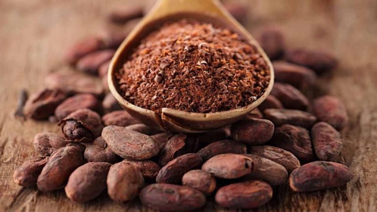 Cocoa farmers urged to maintain the quality of their beans