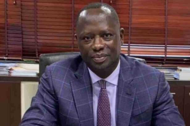 Lands Minister To Combat Galamsey With Chiefs