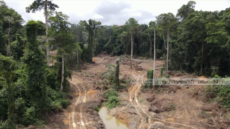 Environmental expert urges decisive actions over ultimatum in galamsey fight