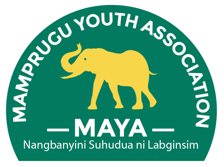 Mamprugu Youth Association condemns attacks on buses and military brutality