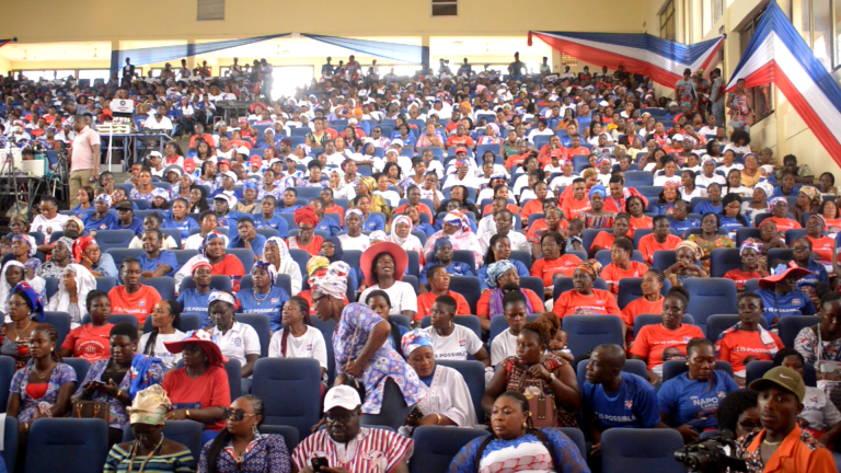 Election 2024: The 6 regions that contributed over 84% of NPP’s deficit votes