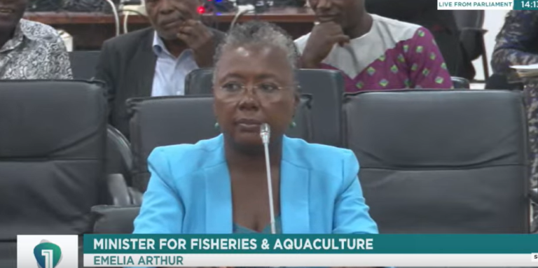 I was shocked to see MPs engage in disorder – Emelia Arthur