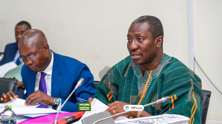 ‘They begged us not to scrutinise her’ – Afenyo-Markin on Linda Ocloo’s non-vetting
