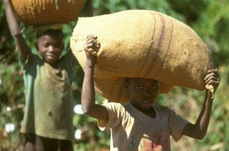 Stakeholders unhappy about use of children for exploitative labour in cocoa communities  