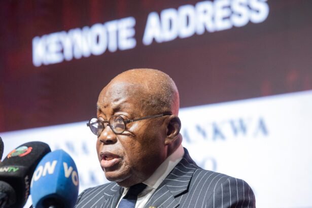 Nana Addo, former African leaders sign Cape Town Declaration for urgent debt relief