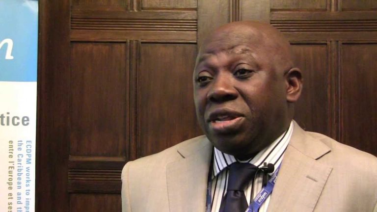 Council of State must do more, not just advise the president
