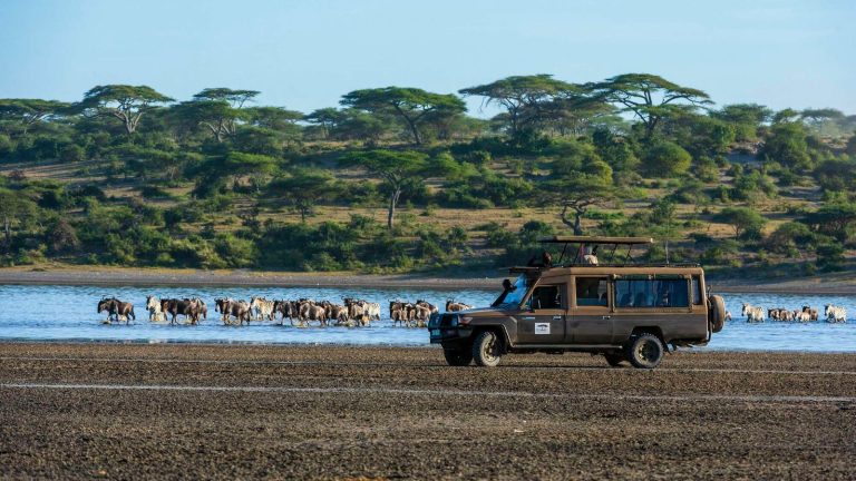Tanzania attracts record 5.36 million tourists in 2024: minister