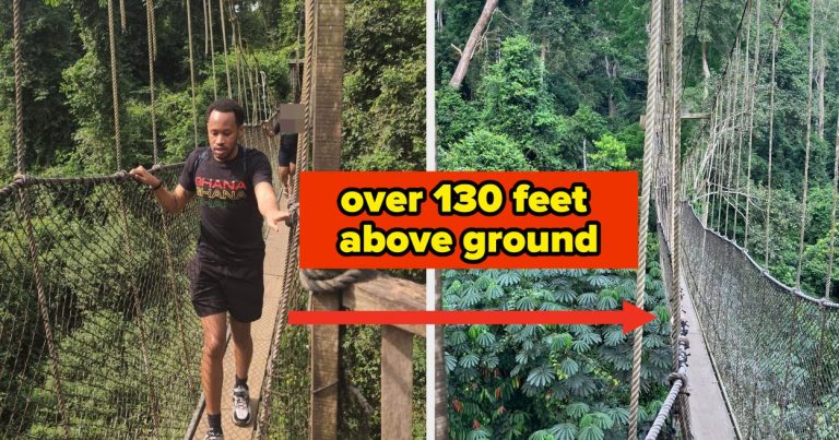 I Walked The Kakum Canopy Walkway In Ghana