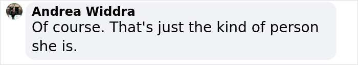 Comment text about a person with perspective on a contentious topic involving Blake Lively.
