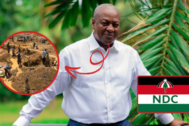 Stop the NPP-NDC gov’t tug-of-war, it won’t help – Ansa-Asare on petitions to remove CJ