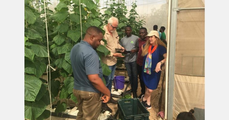 Ghana: Uniting for greenhouse excellence