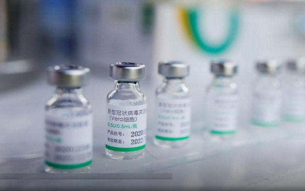 CSOs urge government to increase budget on sustainable vaccines