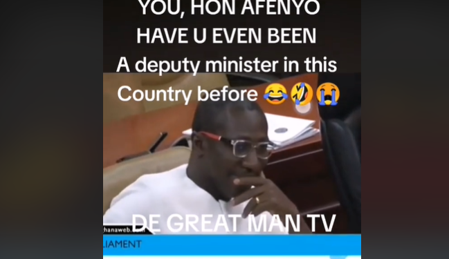 “Have you ever been a Deputy Minister in this country?” – Afenyo-Markin receives fire