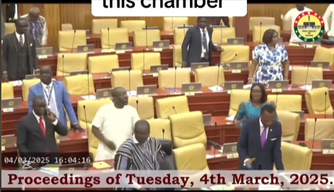 “What is going on in this chamber” – Confusion rocks Parliament as Minority resist intimidation