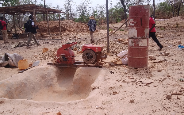 Bee population, honey production threatened by galamsey activities – Expert