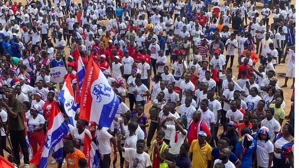 ‘The delegate system is useless and unsustainable’ – Former NPP chairman