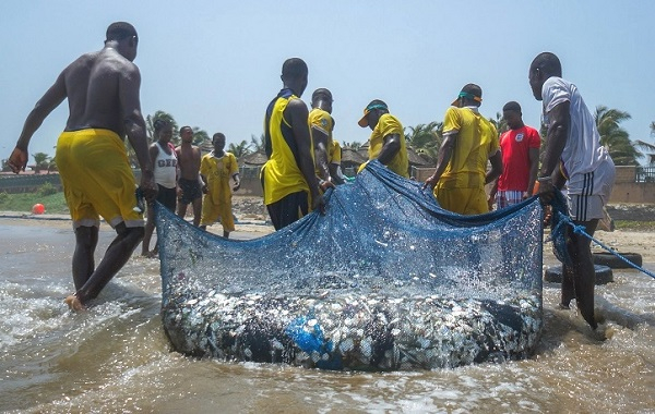 Why fisheries minister ‘locks’ the sea