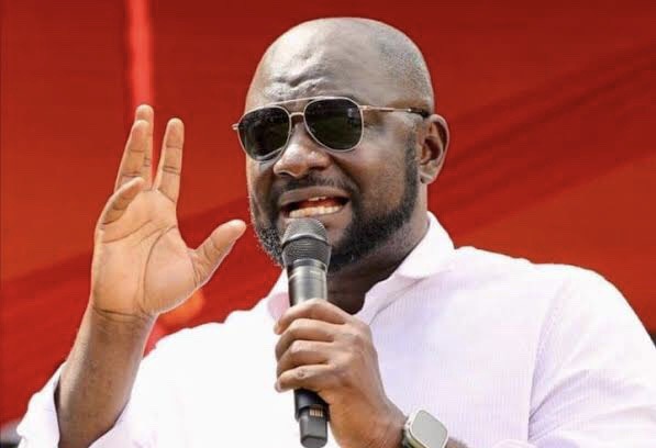 Provide an avenue for Adwoa Safo to air her concerns, not push her into a corner— Ansah Opoku to NPP