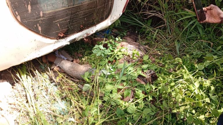 Two dead, several injured in tragic accident at Aseseeso