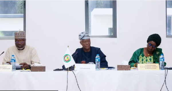 Wetin be di status of di proposed Ecowas currency wey go allow countries use one money?