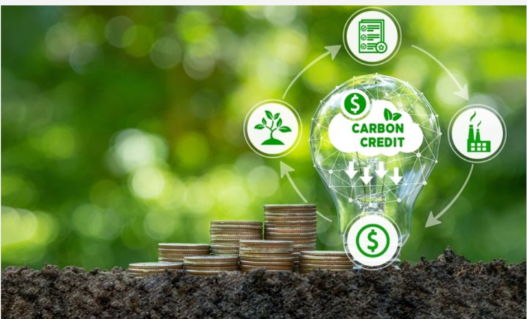 Ghana’s Carbon Market to generate over $1bn by 2030