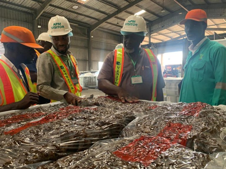 Ghana government pledges support for rubber industry