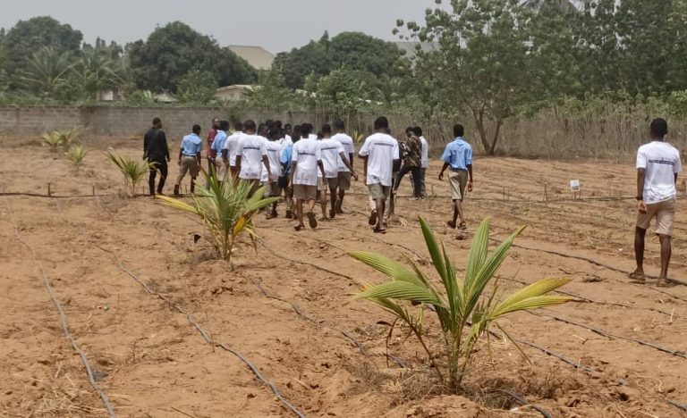 SPACO to feed themselves through GAfF’s SHARP initiative 